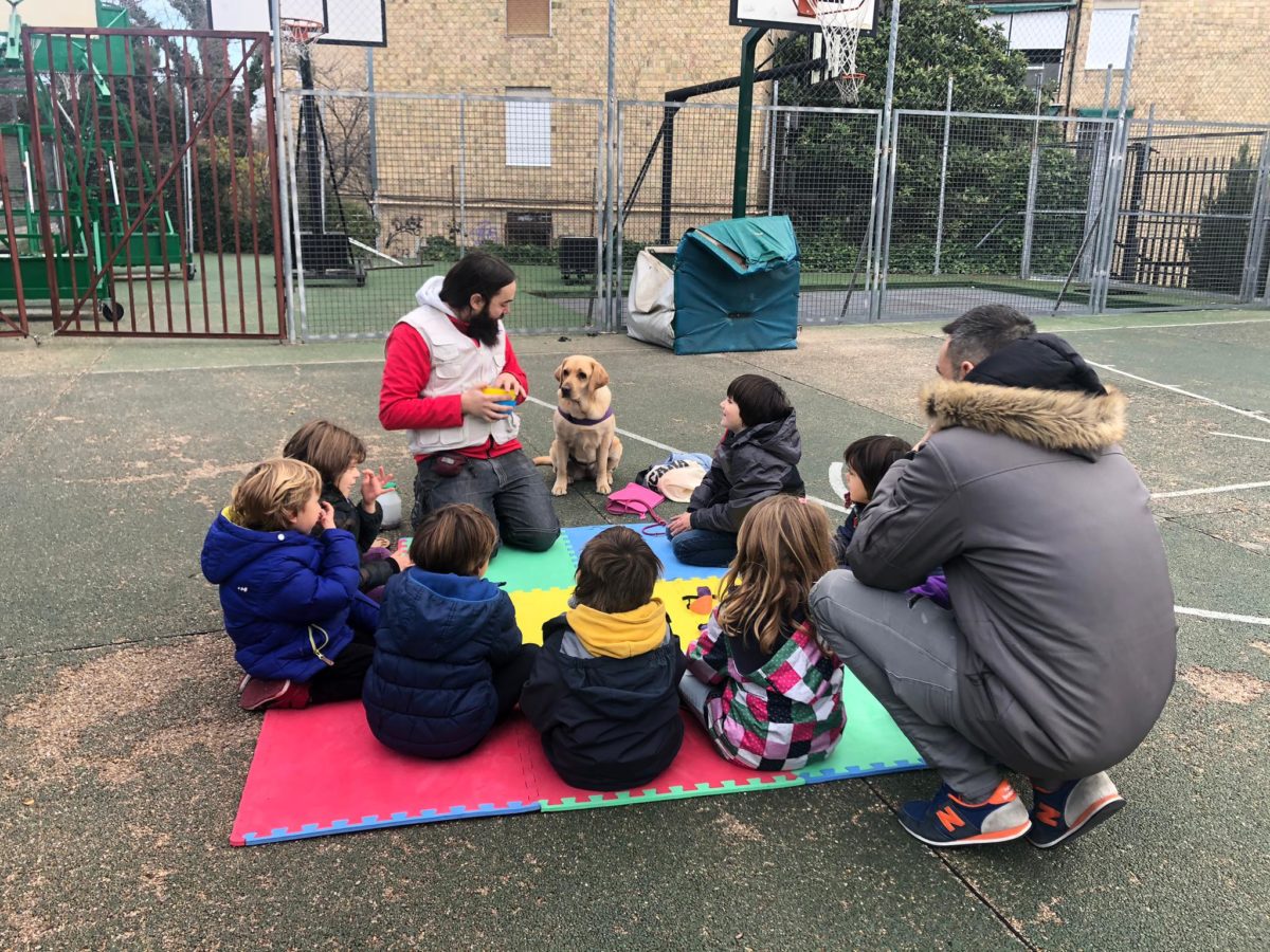 Taller educativo perros asistencia